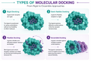 مبانی داکینگ مولکولی (Molecular Docking) - بخش ۳