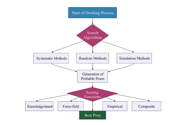 مبانی داکینگ مولکولی (Molecular Docking) - بخش ۲